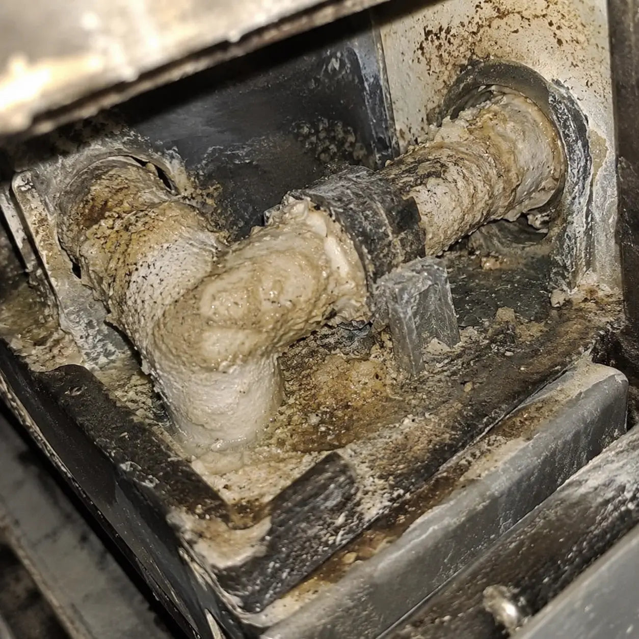 Hard-water scale collecting inside dishwasher components