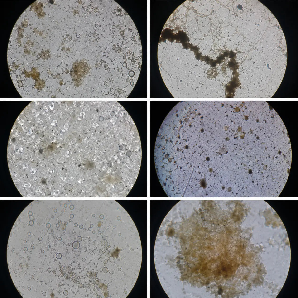Grease mineral scale detergent film and residue buildup
