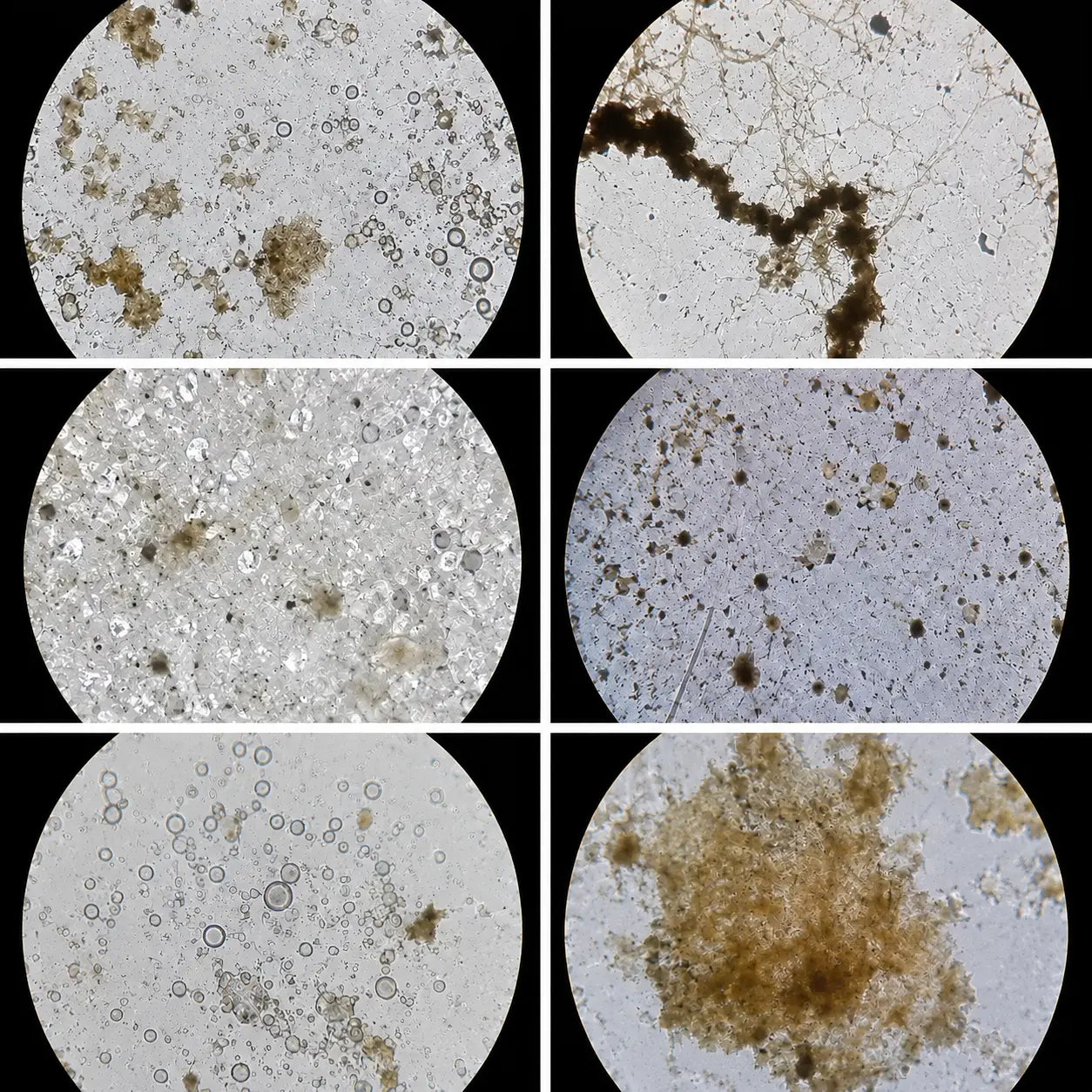 Microscope view of hard water residue and dishwasher buildup particles